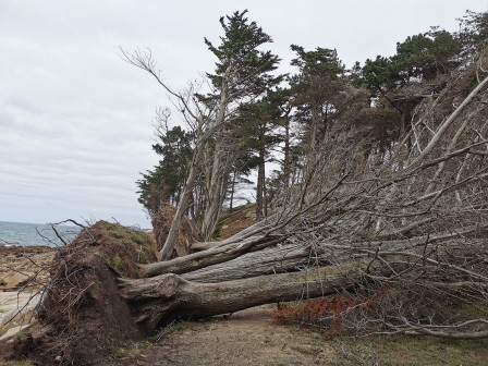 Arrivée au Dourven après la tempête