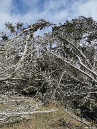 Arrivée au Dourven après la tempête