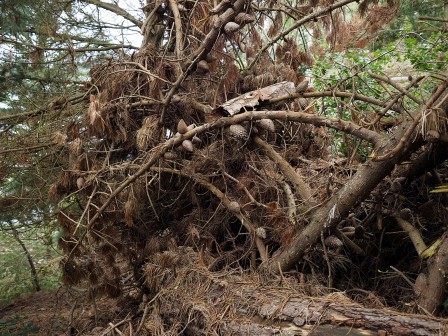Arrivée au Dourven après la tempête