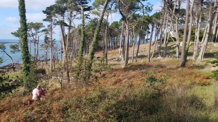 Le Dourven restauré en 2025