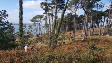 Travail de déambulation et de prises de vues dans le parc du Dourven