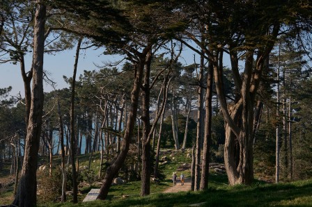 Déambulation et de prises de vues dans le parc (©Léa Molinier)