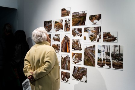 Visiteur découvrant la pièce « Herbier » ©Yoan Brière