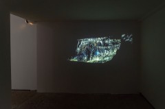 « Dioramas » vidéo présentée dans l'alcôve de la galerie