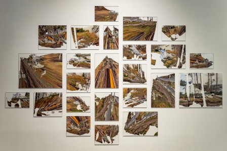 « Herbier », 24 impressions sur plexiglass