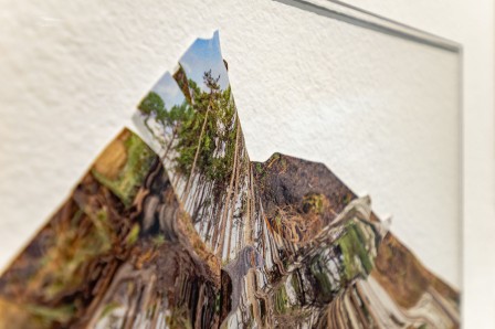 « Herbier », gros plan sur une des impression