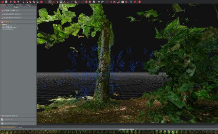 Étape 2 : scan 3D de la végétation