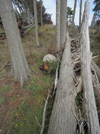 Photo en septembre 2024