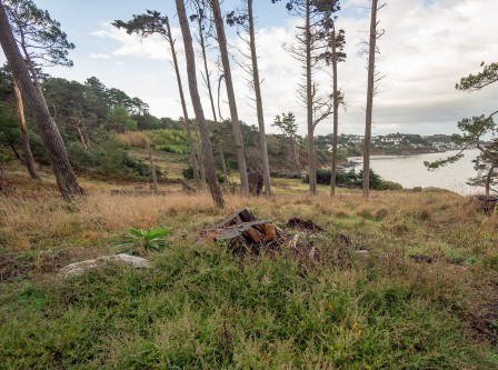 Photo en septembre 2025