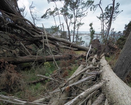 Photo en septembre 2024