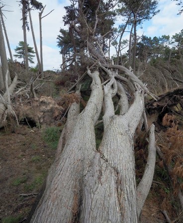 Photo en septembre 2024