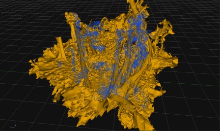 Rendu 3D sans textures