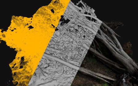 Les différentes strates de rendu : maillage, volume, texture