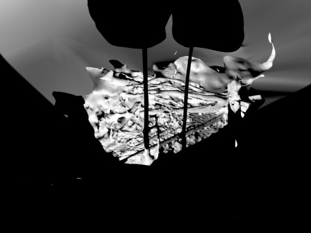 Résultat de la projection en N&B