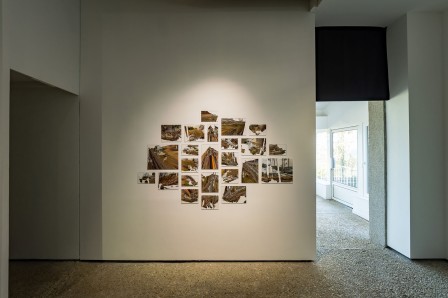 « Herbier », vue dans l'exposition