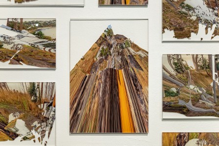 « Herbier », vue sur un des échantillons