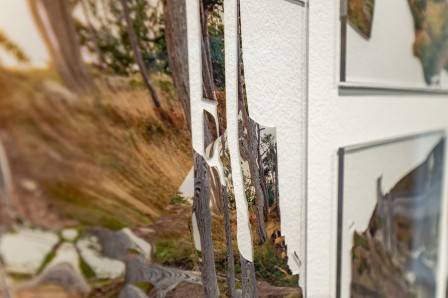 « Herbier », vue rapprochée