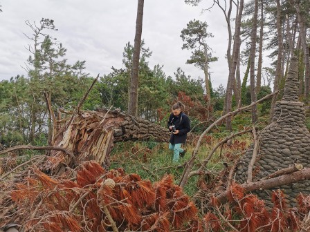 Découverte du parc après la tempête