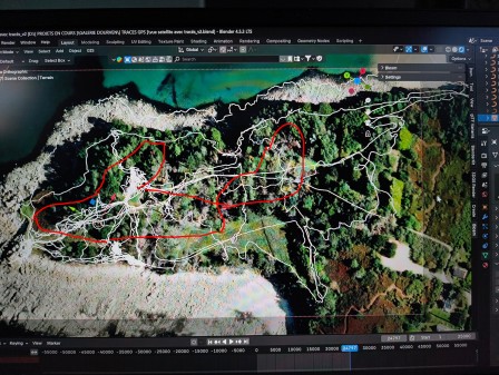 Déplacement des artistes dans le parc pour la résidence